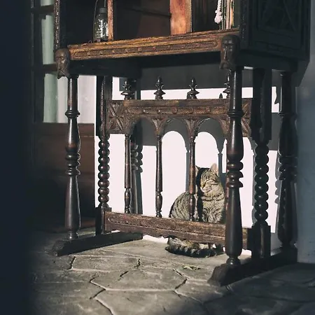 Ξενοδοχείο La Casona De Amandi 3*