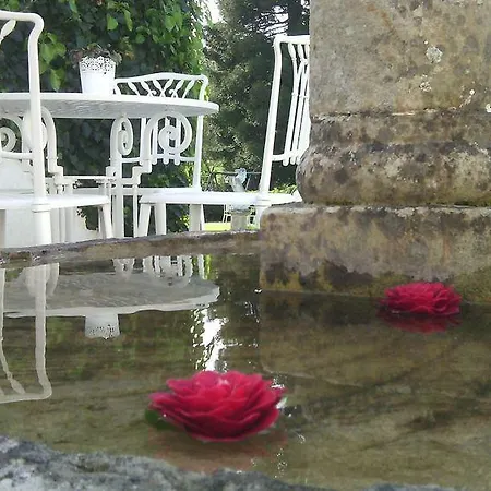 La Casona De Amandi Otel