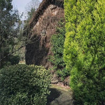 La Casona De Amandi Villaviciosa (Asturias)