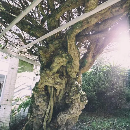 La Casona De Amandi 3*