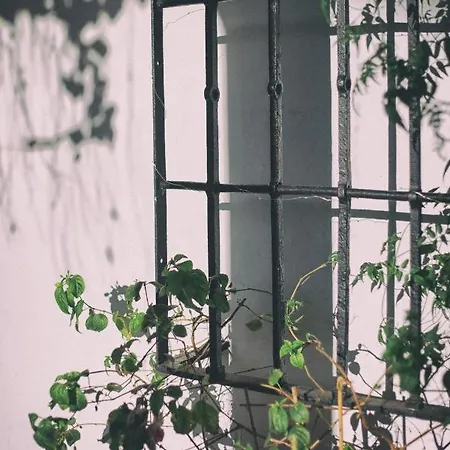 La Casona De Amandi Otel 3*