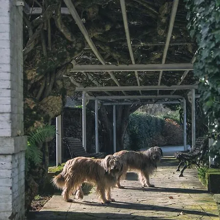 La Casona De Amandi Villaviciosa (Asturias)