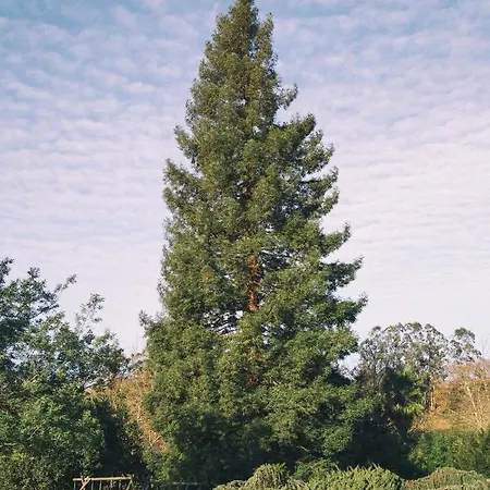 La Casona De Amandi Villaviciosa (Asturias)