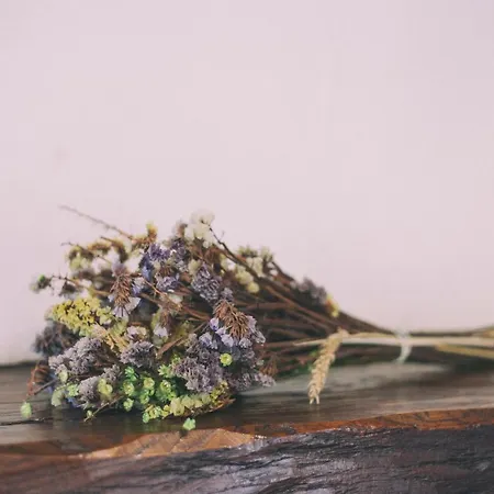 Hotel La Casona De Amandi